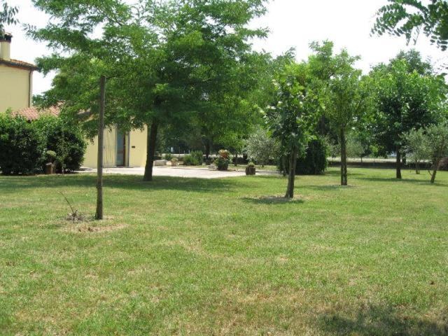 Al Parco Bed & Breakfast Ravenna Exterior foto